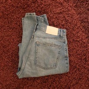 Everlane 90s Cheeky High Rise Jean 25 Regular, Light Blue